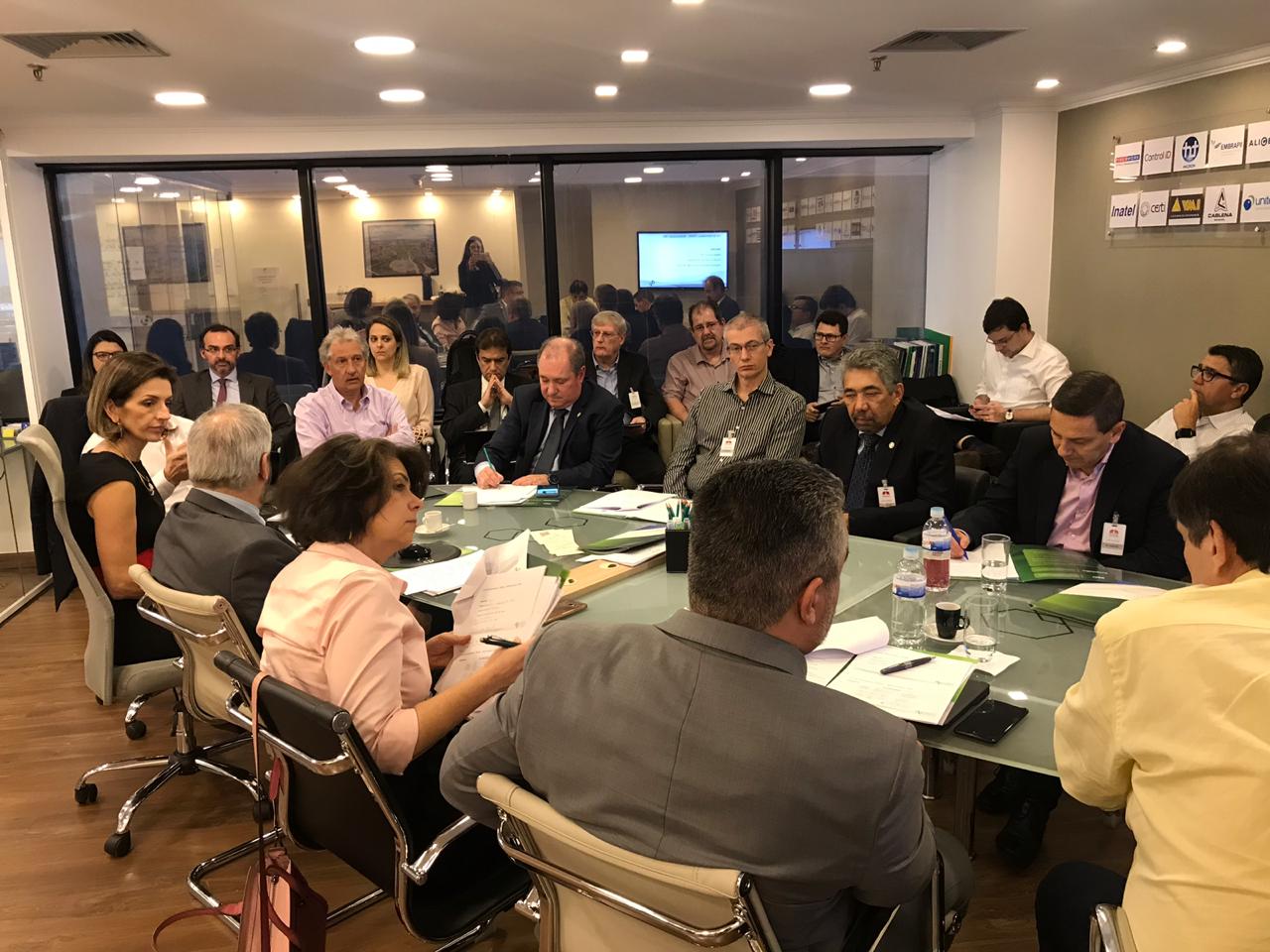 2ª Reunião de Conselho 2019 da P&D Brasil